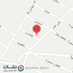 عکس هیئت ام البنینی