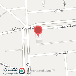 عکس کیف و کفش پارادایس