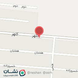 عکس پیتزا سعید 