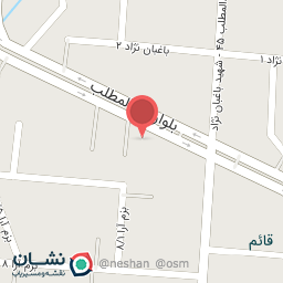 عکس قارچ فروشی