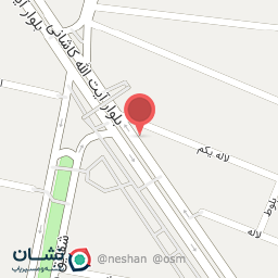 عکس شاهین شمالی