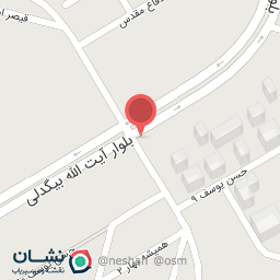 عکس فست فود