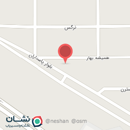 عکس علی بن ابیطالب (ع)