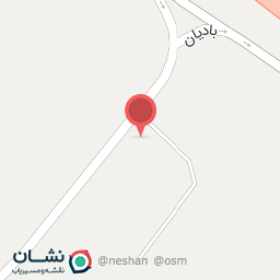 عکس اتو مکانیک دوقلوها