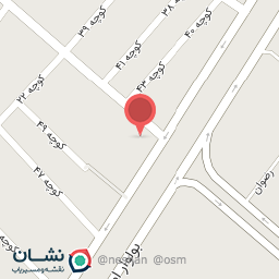 عکس بیرون‌بر لیمو‌ترش