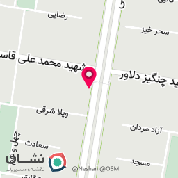 عکس آموزش کونگ فو توسط استاد مرضیه یافتیان