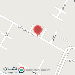 عکس پخش باطری نیکان