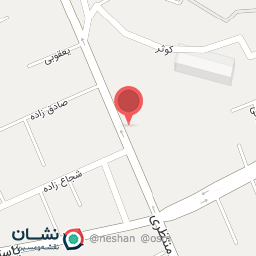 عکس اکو پرینت