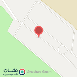 عکس زیتون کندی