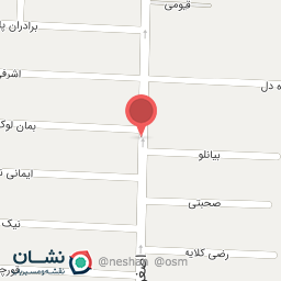 عکس فروشگاه شوینده بهداشتی ایساتیس