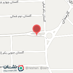 عکس کفش همگام