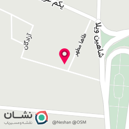عکس فروشگاه گوشت شترمرغ نوروزی