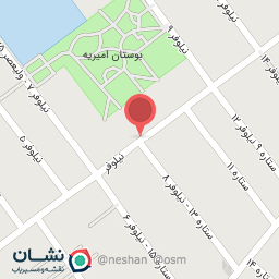 عکس رایان در