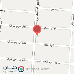 عکس پت شاپ زبرا