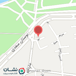 عکس پیتزا پلاس