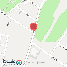 عکس فست فود نیک