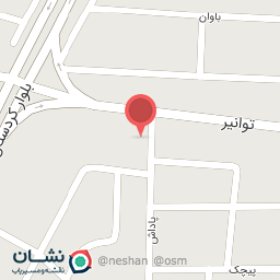 عکس آبمیوه و بستنی نارنج