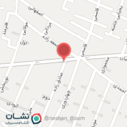 عکس تهیه غذای آریا