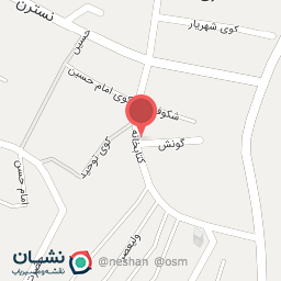 عکس غذا وفست فود رضا