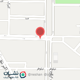 عکس بازرگانی فیضی