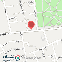 عکس همراز پرینتر