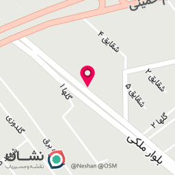 عکس دکتر بهناز بازرگانی