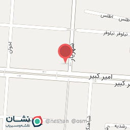 عکس کفش هومتو