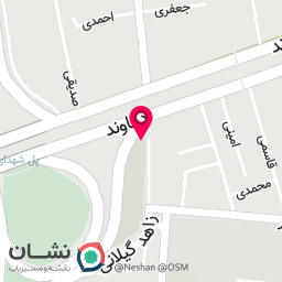 عکس کبابی خاتون