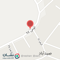 عکس الزهرا 41  