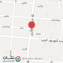 عکس دزدگیر آژان