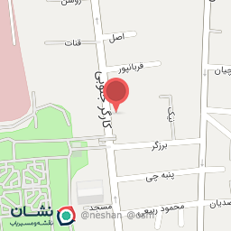 عکس اتو سرویس رازی