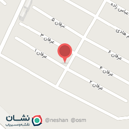 عکس پیتزا تنوری 20