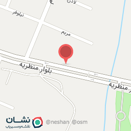 عکس کیف و کفش آویشن