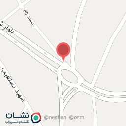 عکس مرغ و ماهی صالحی