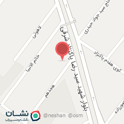 عکس کباب ترکی مستر دنر