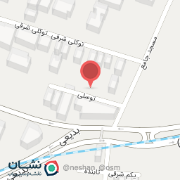 عکس بهین برگر