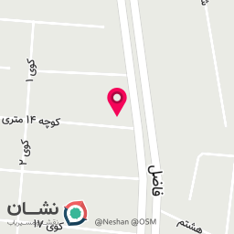 عکس آقای کفش