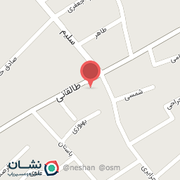 عکس دزدگیر حامد 