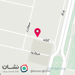 عکس تهیه غذایی سرو