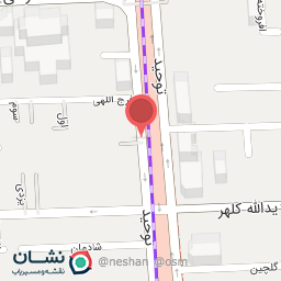 عکس چلو کباب شقایق