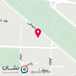 عکس پونک