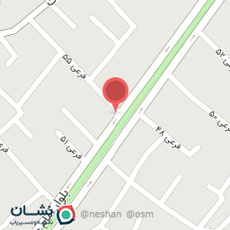 عکس طوطیا رایانه