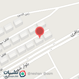 عکس نصر ۲۹۳