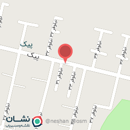 عکس الکتریکی 