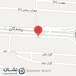 عکس دکتر حمید آلمانی