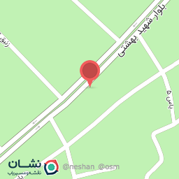 عکس چاپ نوری (واحدی) گیلاوند