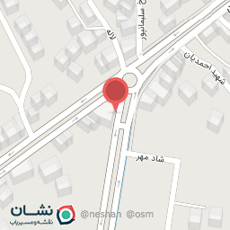 عکس فست فود سعید