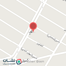 عکس الکتریکی علی یاری