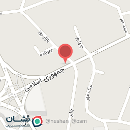 عکس شهر حیوانات