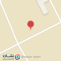 عکس کفش پویا